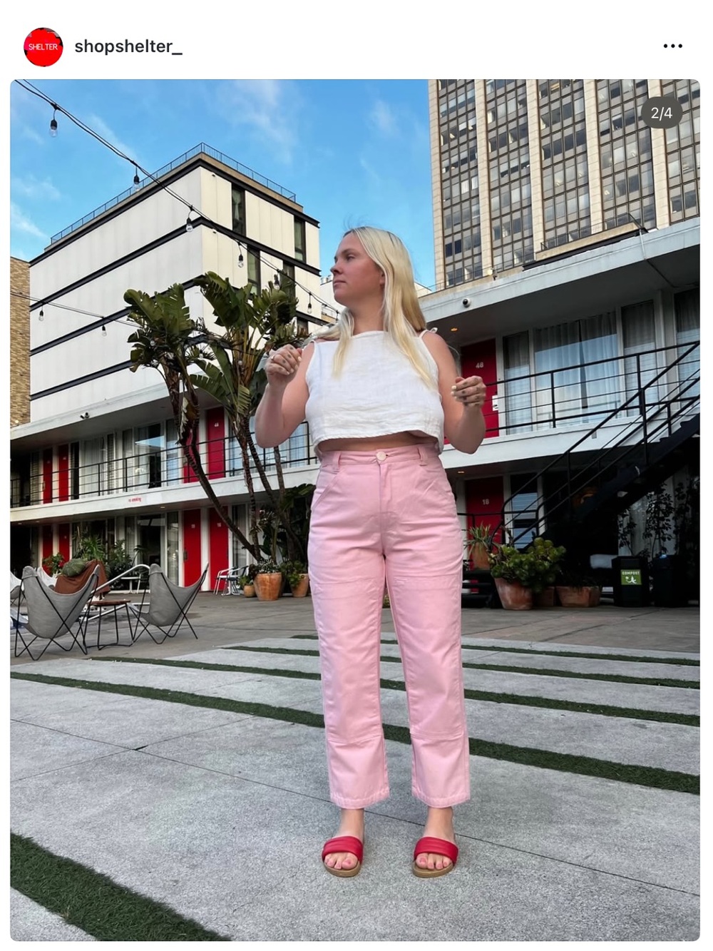 Shelter pink Brewers